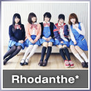 Rhodanthe*