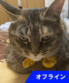 アクシス