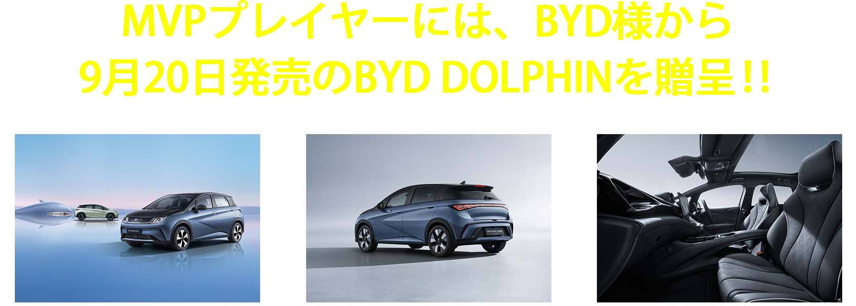 BYD DOLPHIN_pc