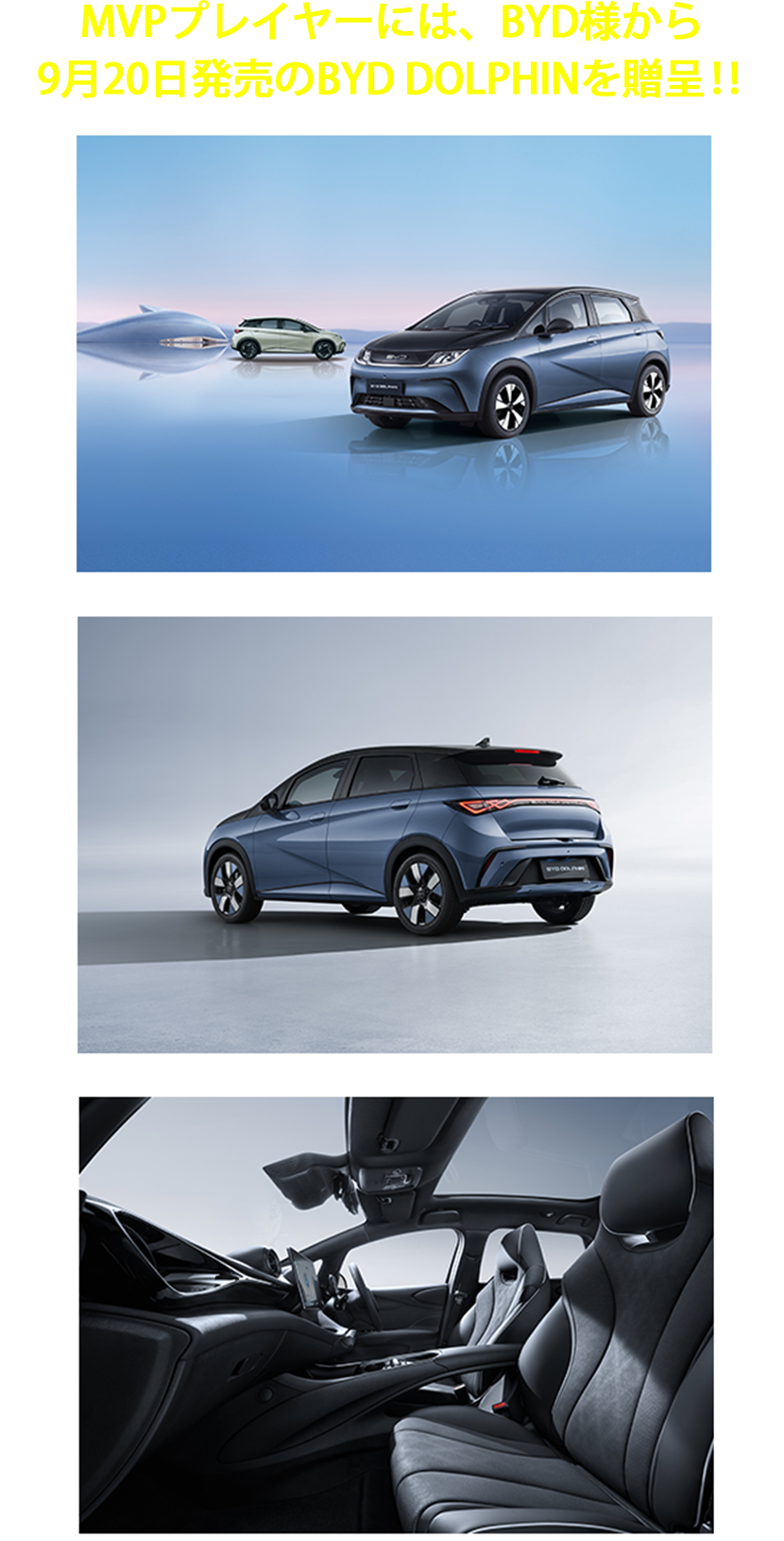 BYD DOLPHIN_sp