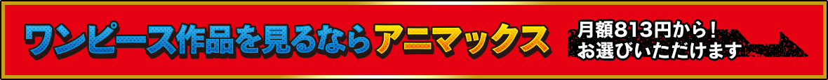 ワンピース作品を見るならアニマックス 視聴方法はこちら