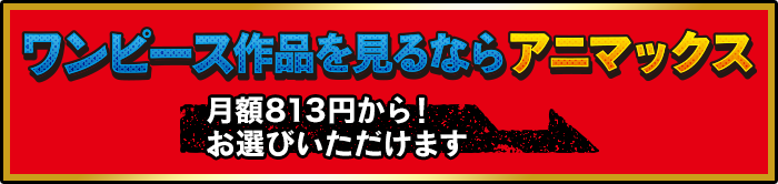 ワンピース作品を見るならアニマックス 視聴方法はこちら