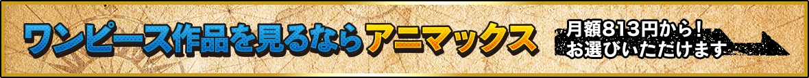 ワンピース作品を見るならアニマックス 視聴方法はこちら