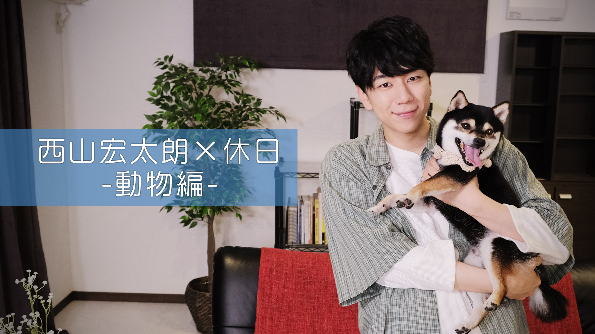 西山宏太朗×休日(動物編)