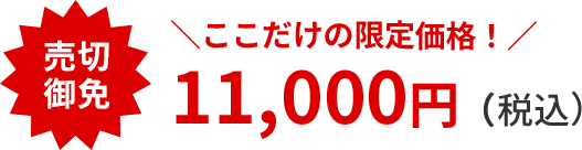 売切御免　ここだけの限定価格！11,000円（税込）