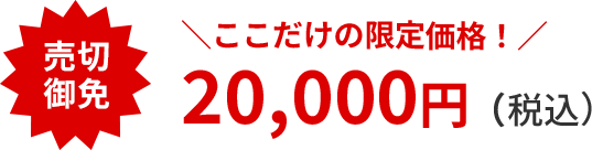 売切御免　ここだけの限定価格！20,000円（税込）