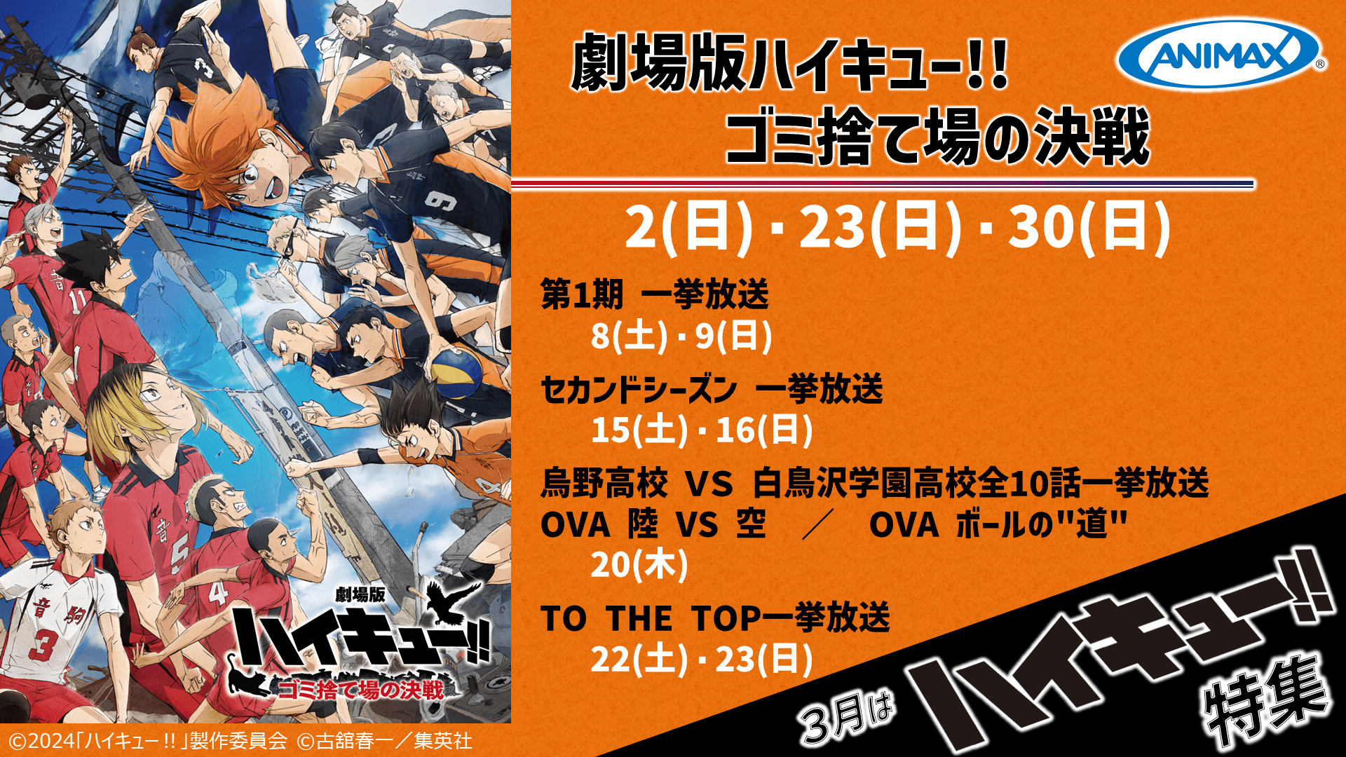 ハイキュー!!特集