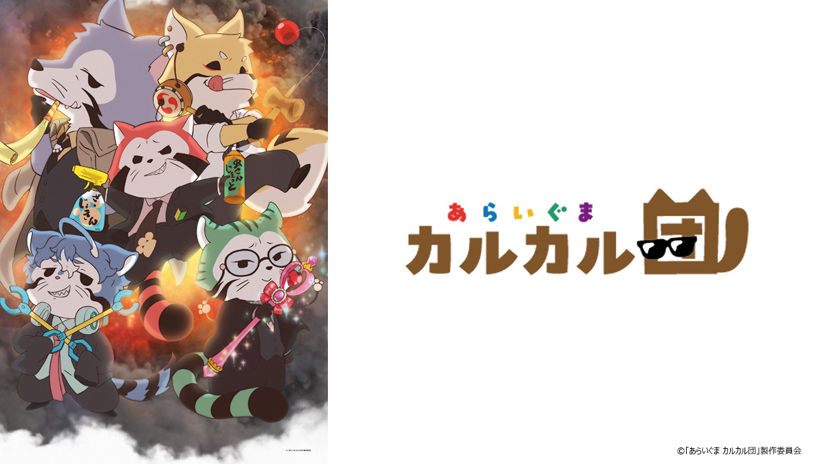 あらいぐま カルカル団
